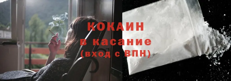 маркетплейс наркотические препараты  Электросталь  Cocaine FishScale  закладки 